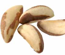 Brazil nut
