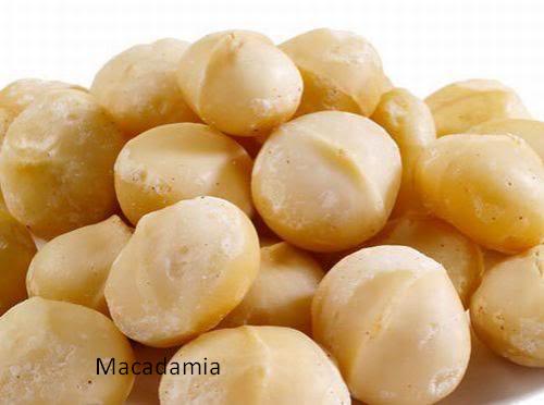 macadamia